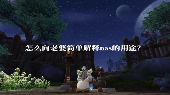 怎么向老婆简单解释nas的用途？