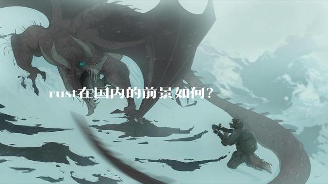 rust在国内的前景如何？