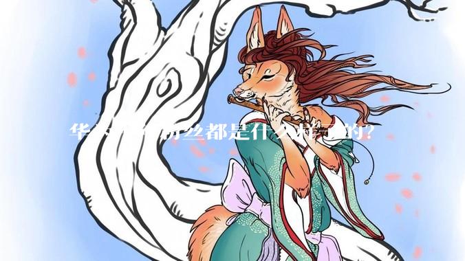 华为中年粉丝都是什么样子的？